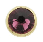 Gouden microdermal top met kristal paars