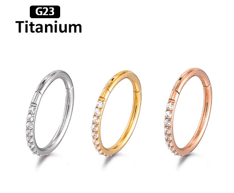 Titanium segmentring met zirkonia's mixed