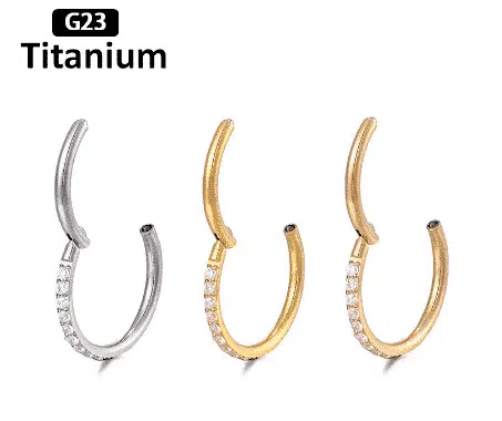 Titanium segmentring met zirkonia's segment