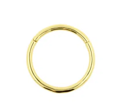 18 Karaats gouden segmentring