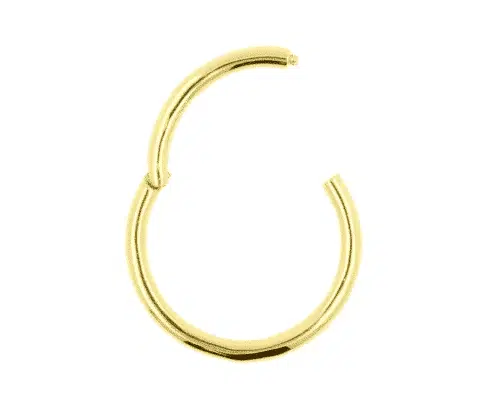 18 Karaats Gouden segmentring - Afbeelding 5