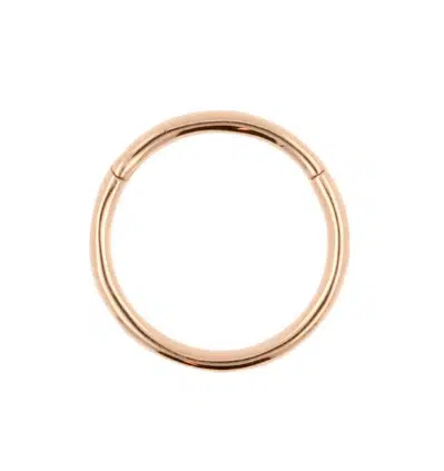 18 Karaats gouden segmentring rosegoud