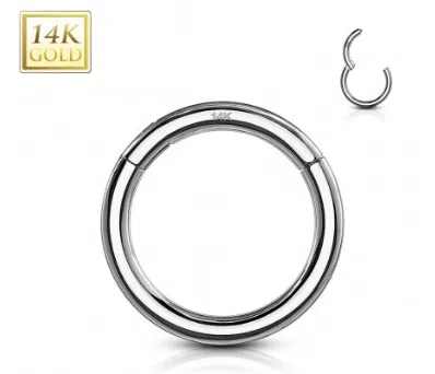 14 Karaats Gouden segmentring witgoud