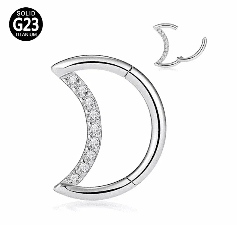Titanium segmentring Maan