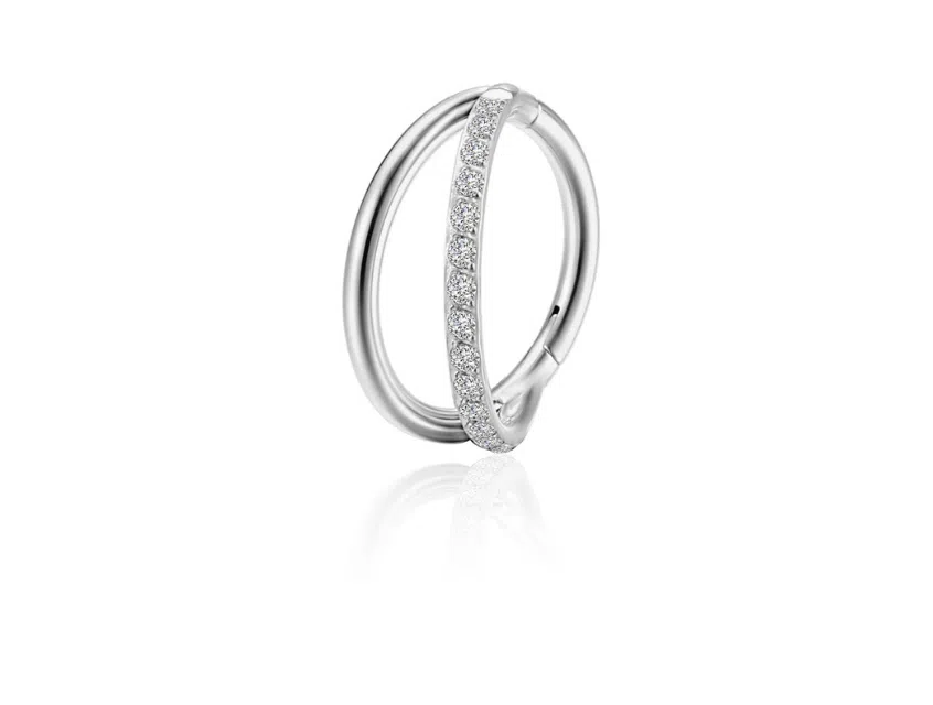 Titanium dubbele segmentring met zirkonia's